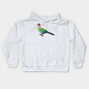 Red-crested turaco bird cartoon illustration Kids Hoodie